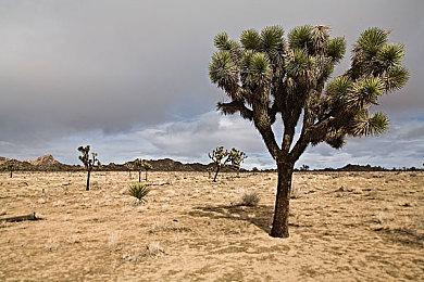 2D心理恐怖冒险游戏《梦中影》中文试玩版上线